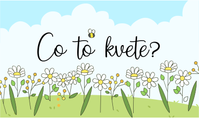 Co to kvete?