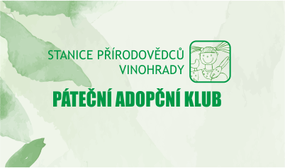 AdopčníKlub-Velikonoční malování na sklo
