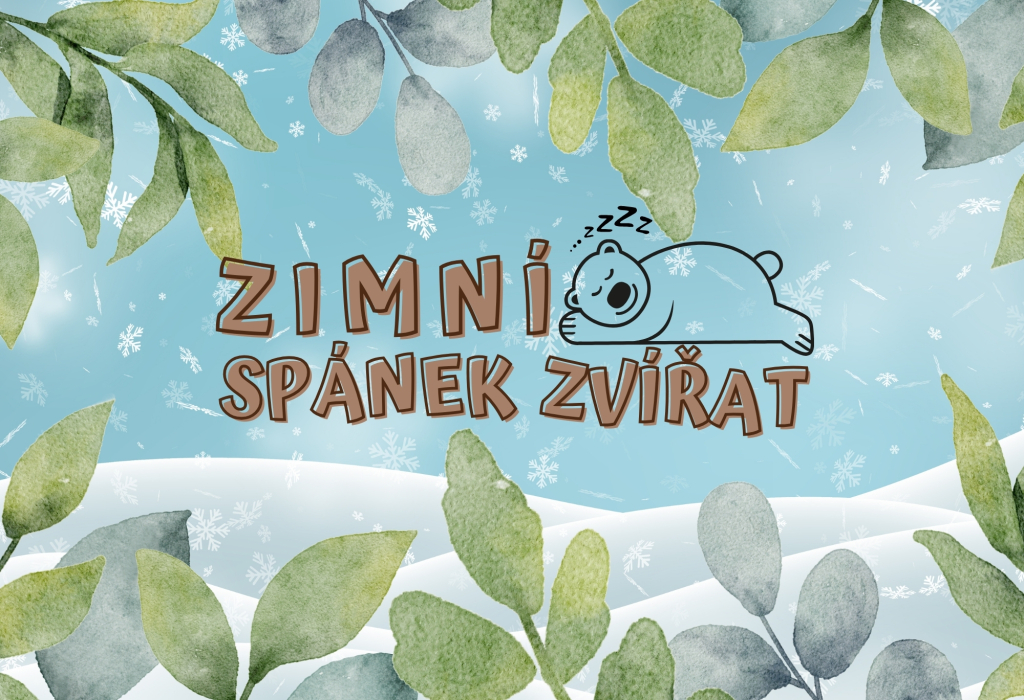 Zimní spánek zvířat