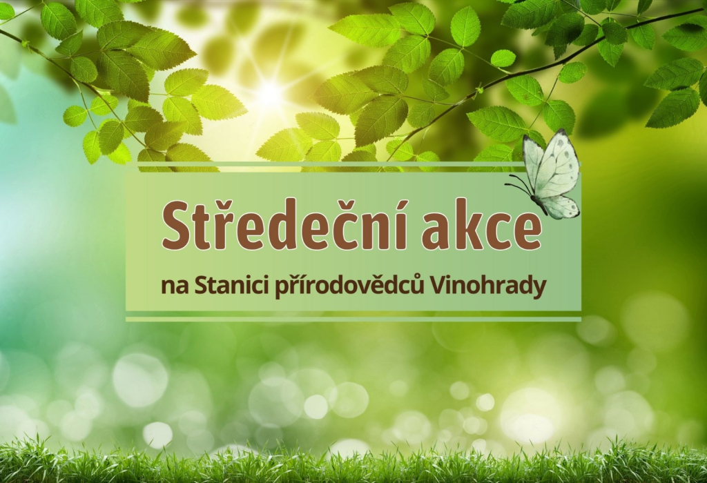 Hravé podzimní odpoledne