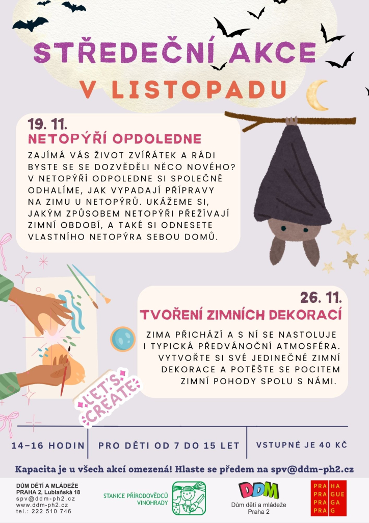 Netopýří odpoledne