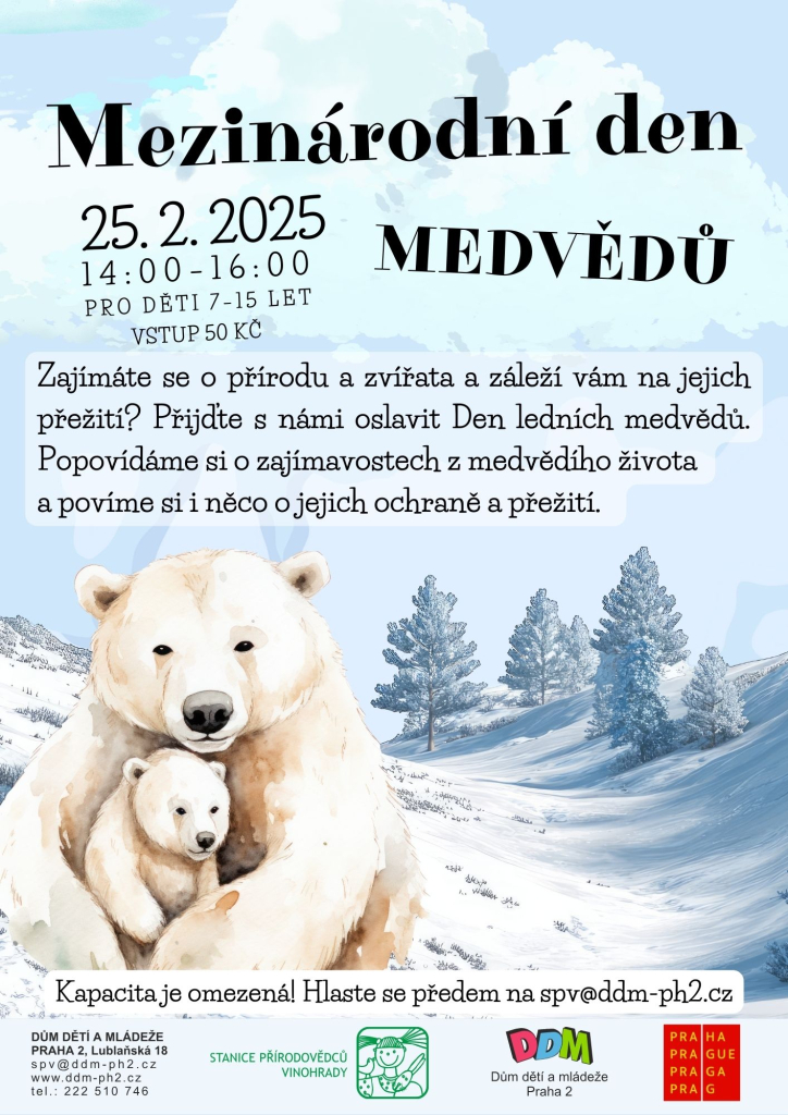 Mezinárodní den medvědů.jpg