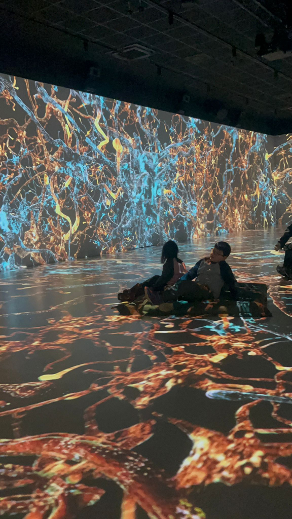 55d296d6-e883-4a4d-b860-692ac2b6dedd.jfif