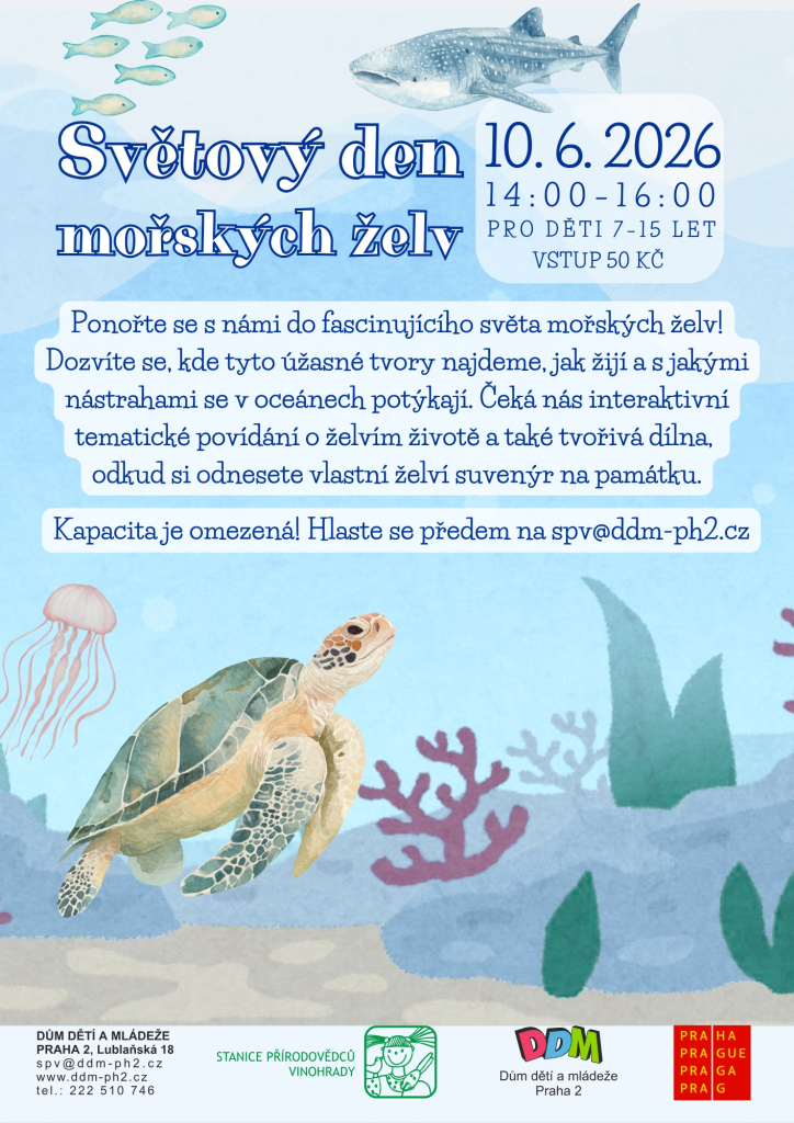 Světový den mořských želv