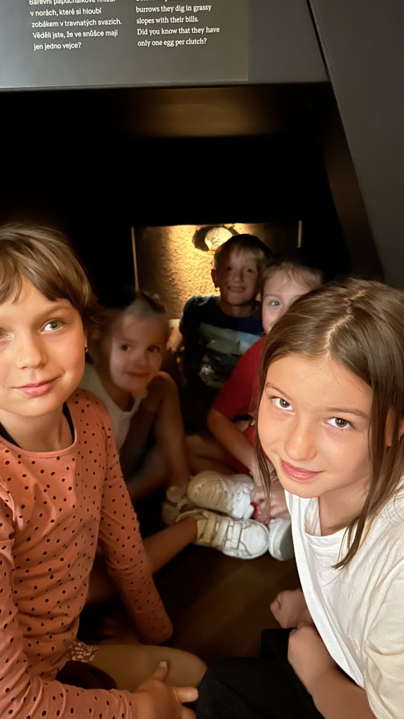IMG_1417.jpeg