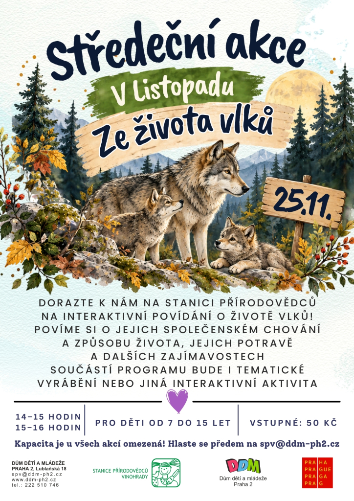Ze života vlků