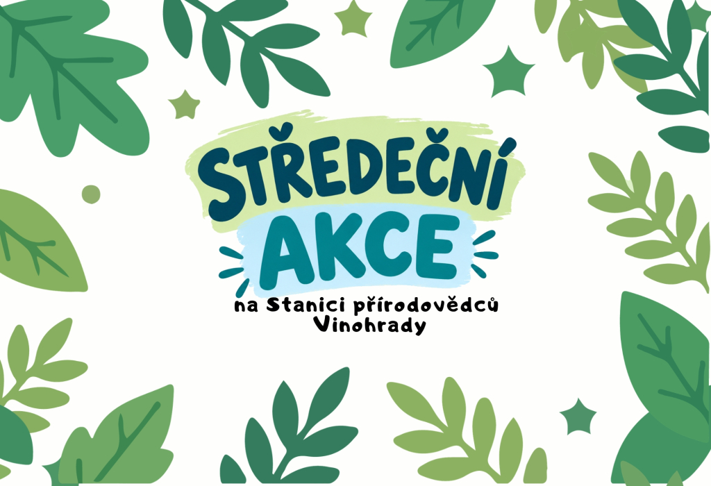 Ze života vlků