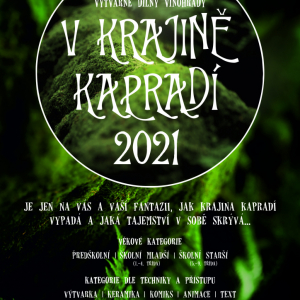 V krajině kapradin