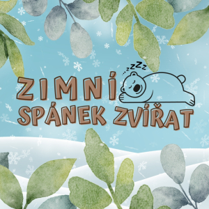 Zimní spánek zvířat