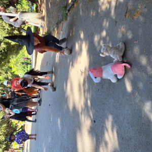IMG_2127.jpeg