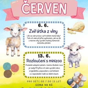 Adopční klub - Zvířátka z vlny