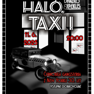 Divadelní představení Haló, taxi!