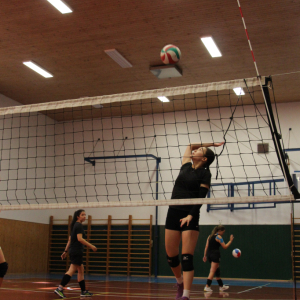IMG_9993.JPG