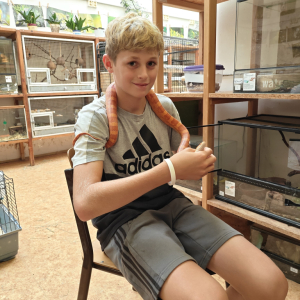 6950c089-191d-4c18-a47c-4b0c27a69c31.jpeg