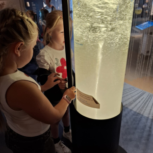 4a2358aa-3d24-412f-a0ec-0ea129350628.jpeg