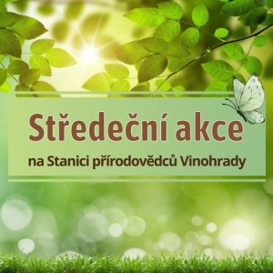 Mezinárodní den chobotnic